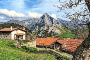 AFILIA INMOBILIARIAS