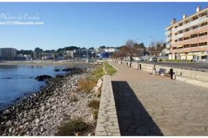 Agence Immo 17130 Escala SL