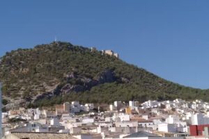Agencia Inmobiliaria APISUR JAÉN