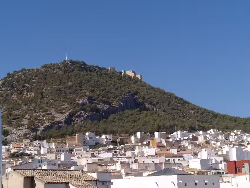 Agencia Inmobiliaria APISUR JAÉN