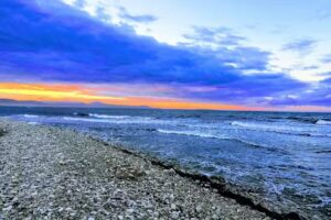 Агентство недвижимости Осан Реаль Эстате