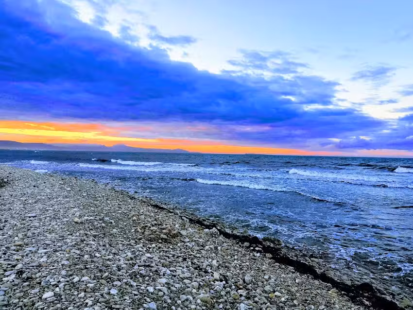 Агентство недвижимости Осан Реаль Эстате