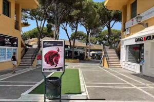 All In Real Estates Windows