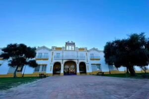 Alonso Torres El Rocío