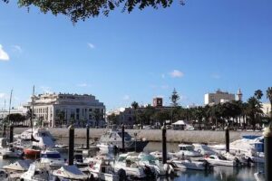 Ana Araujo Asesora Inmobiliaria RE/MAX