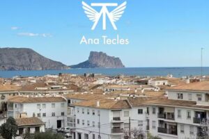 Ana Tecles Real Estate