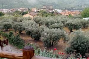 Apartamentos Rurales Casa Leyre