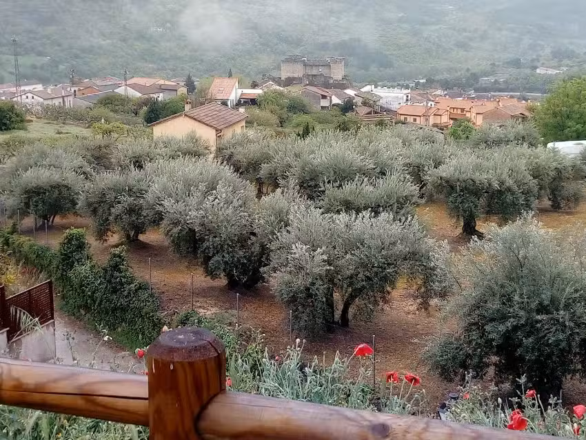 Apartamentos Rurales Casa Leyre