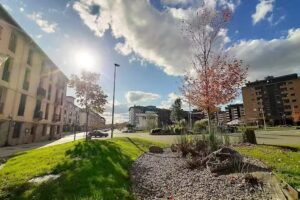 arribas gestión inmobiliaria en Donostia