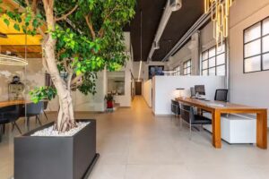 Assessors Immobiliaris Setclaus