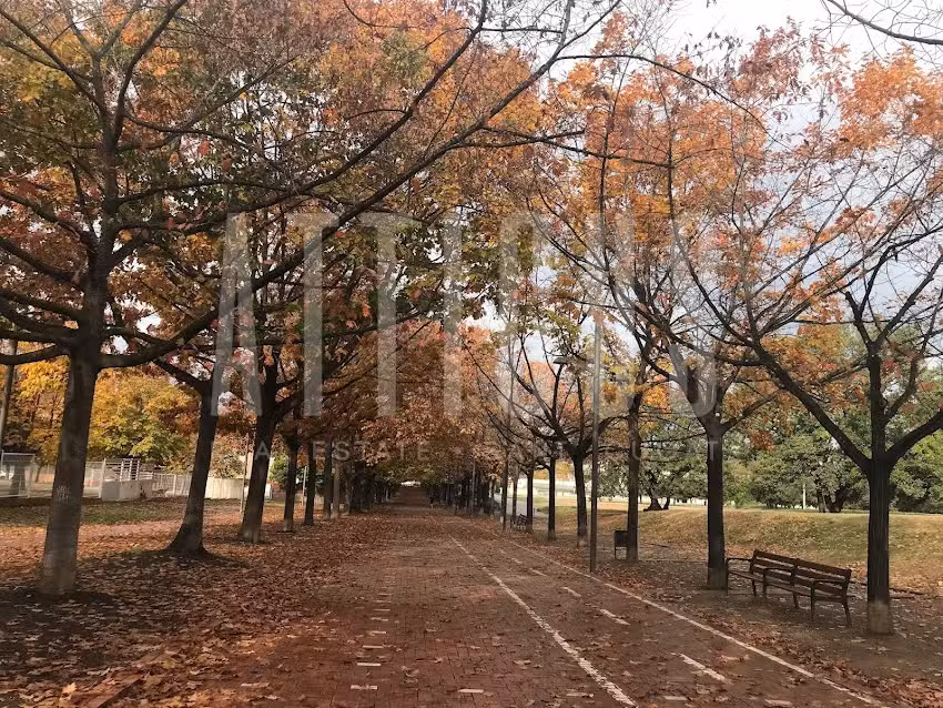 ATTICUS SANT CUGAT SL