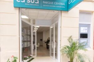 Ca´sua Parque Central Inmobiliaria