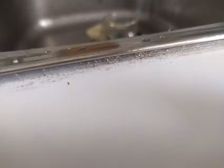 Cantabria Casa Multiasistencia