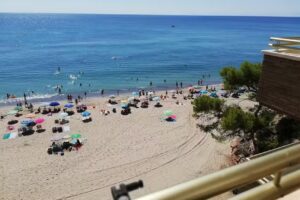 CASA-Llarempreses, Inmobiliaria