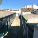 Castellana Real Estate