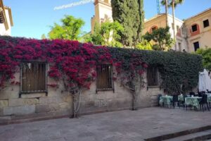 Central Home Málaga