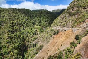 Comunidad de Bienes y Derechos los Galguitos