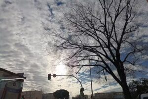 Confort Estrella Inmobiliaria