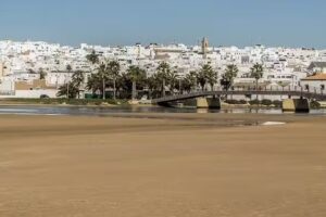 CONILPLAYAMAR INMOBILIARIA