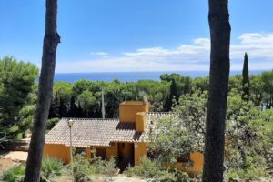 Corredor Mató – Real Estate & Property Management