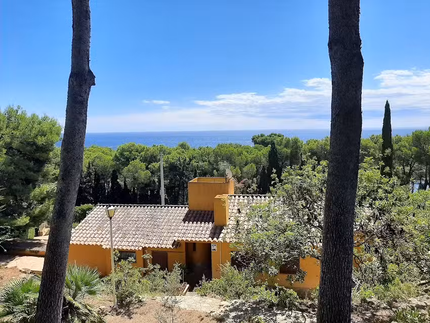 Corredor Mató – Real Estate & Property Management