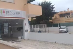 Crocodile Properties