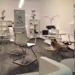 Dream House Inmobiliaria