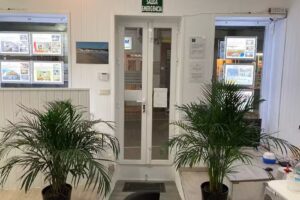 EL MERCADO INMOBILIARIA