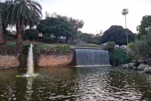 Estudio Inmobiliario Canario