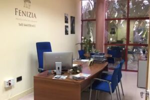 Fenizia Proteccion De Alquiler