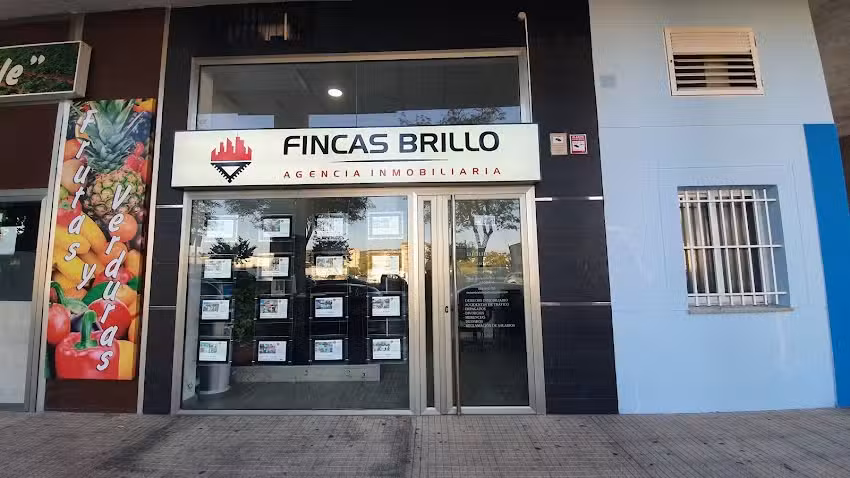 Fincas Brillo Inmobiliaria