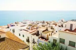 Fincas Carrete Inmobiliarias.l.