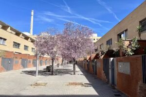 Fincas Gilser-Inmobiliaria en Poblenou