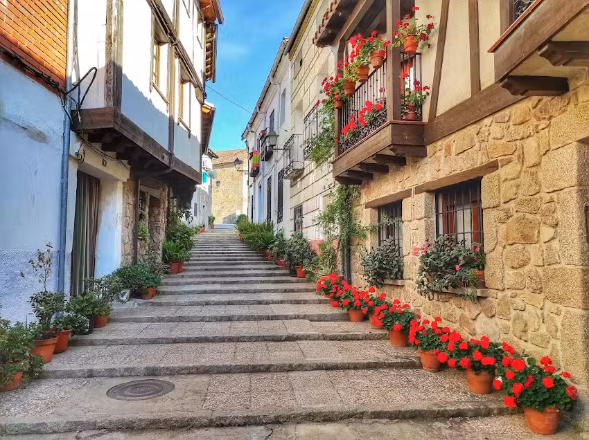 Fincas MG – Agencia Inmobiliaria en Candeleda –