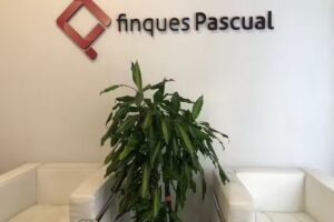 Fincas Pascual