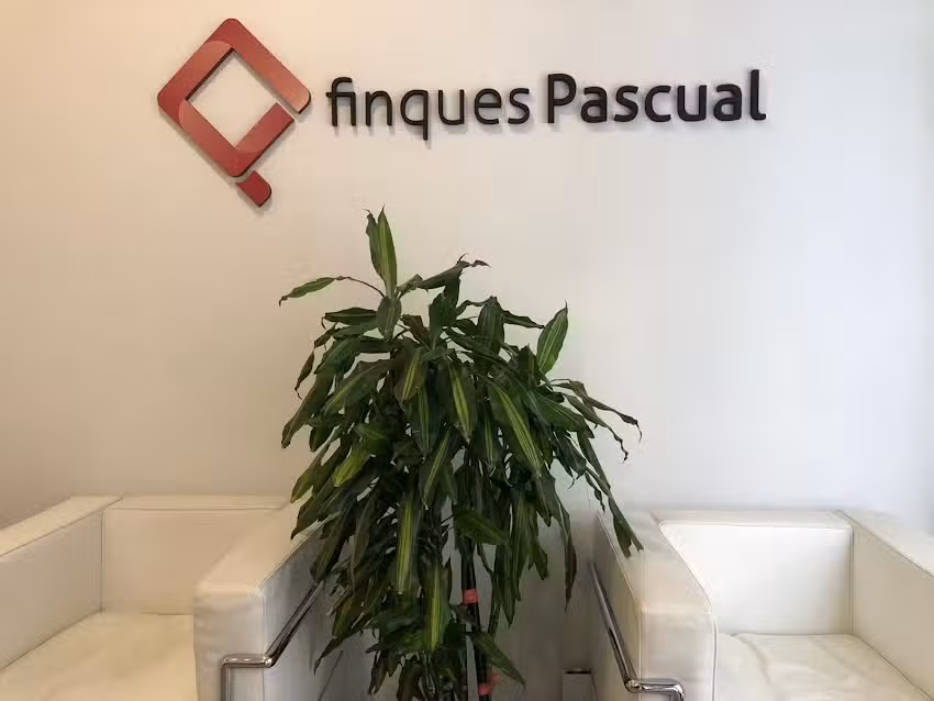 Fincas Pascual