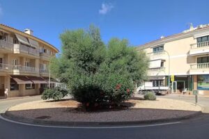 Fincas Sunshine – Portal Menorca | Inmobiliaria | Estate Agents | Es Mercadal
