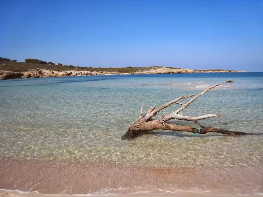 FINCAS VENALIS – PORTAL MENORCA | Inmobiliaria | Estate Agents | Mahón