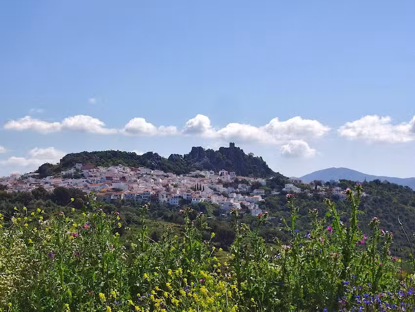 Gaucin Property Renovation