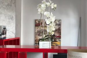 Gestión Inmobiliaria Juan Pimentel