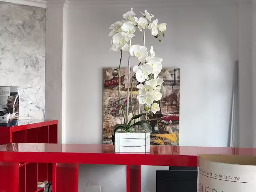 Gestión Inmobiliaria Juan Pimentel