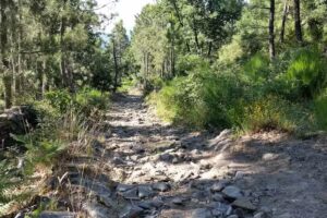 Gestión y Optimizacion Activos Inmobiliarios El Palomar S.L.