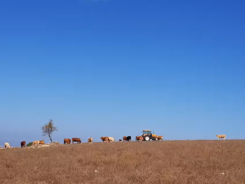 Grupo Q Gestión Inmobiliaria – Vejer de la Frontera