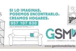 GSM INMOBILIARIA