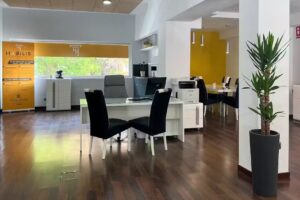 HABILIS Consulting Inmobiliario