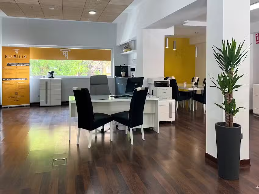 HABILIS Consulting Inmobiliario