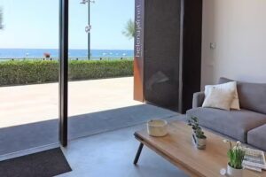 Helena Jornet Finques