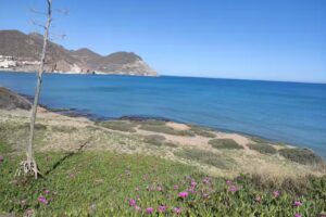 HMS Servicios Inmobiliarios