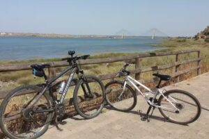 Homes&fincas Costa de la Luz S.L