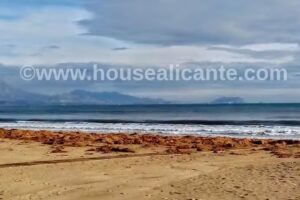 housealicante – agencia inmobiliaria